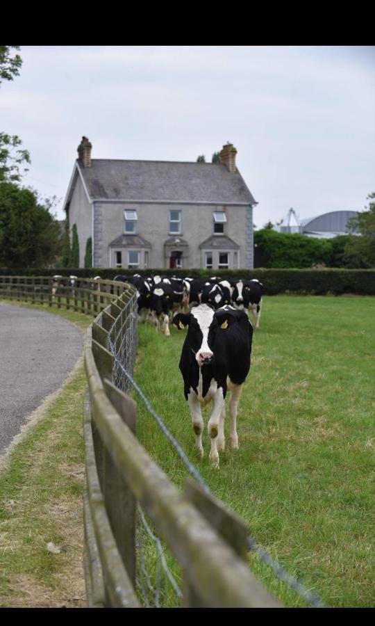 Ballyginniff Farm House Крумлин Экстерьер фото